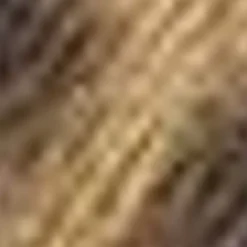 Carisa