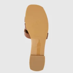 Sabella